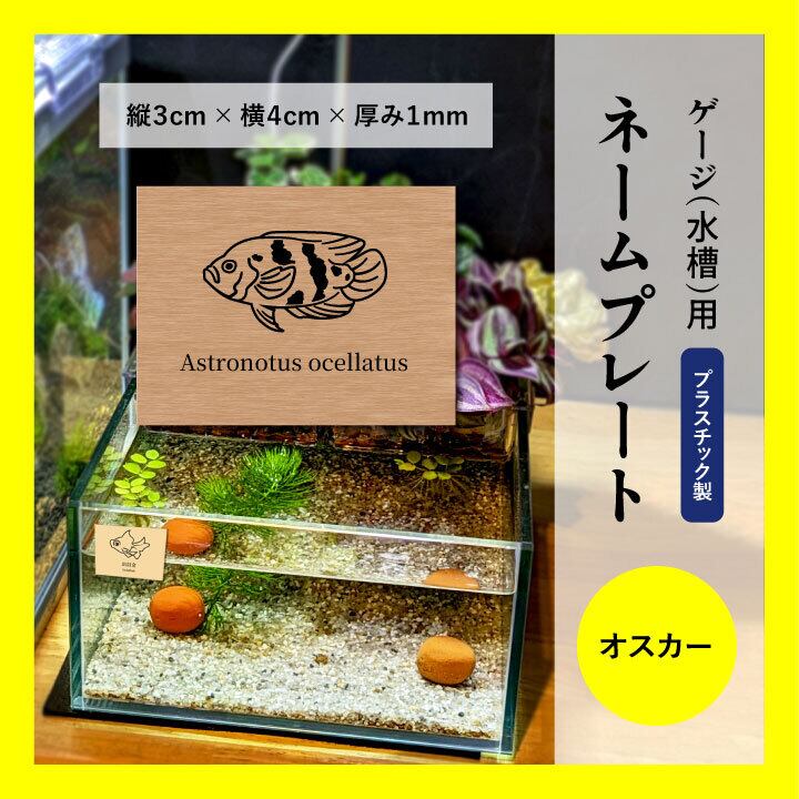 ゲージ・水槽用ネームプレート ☆アロワナのイラスト入り オーダー