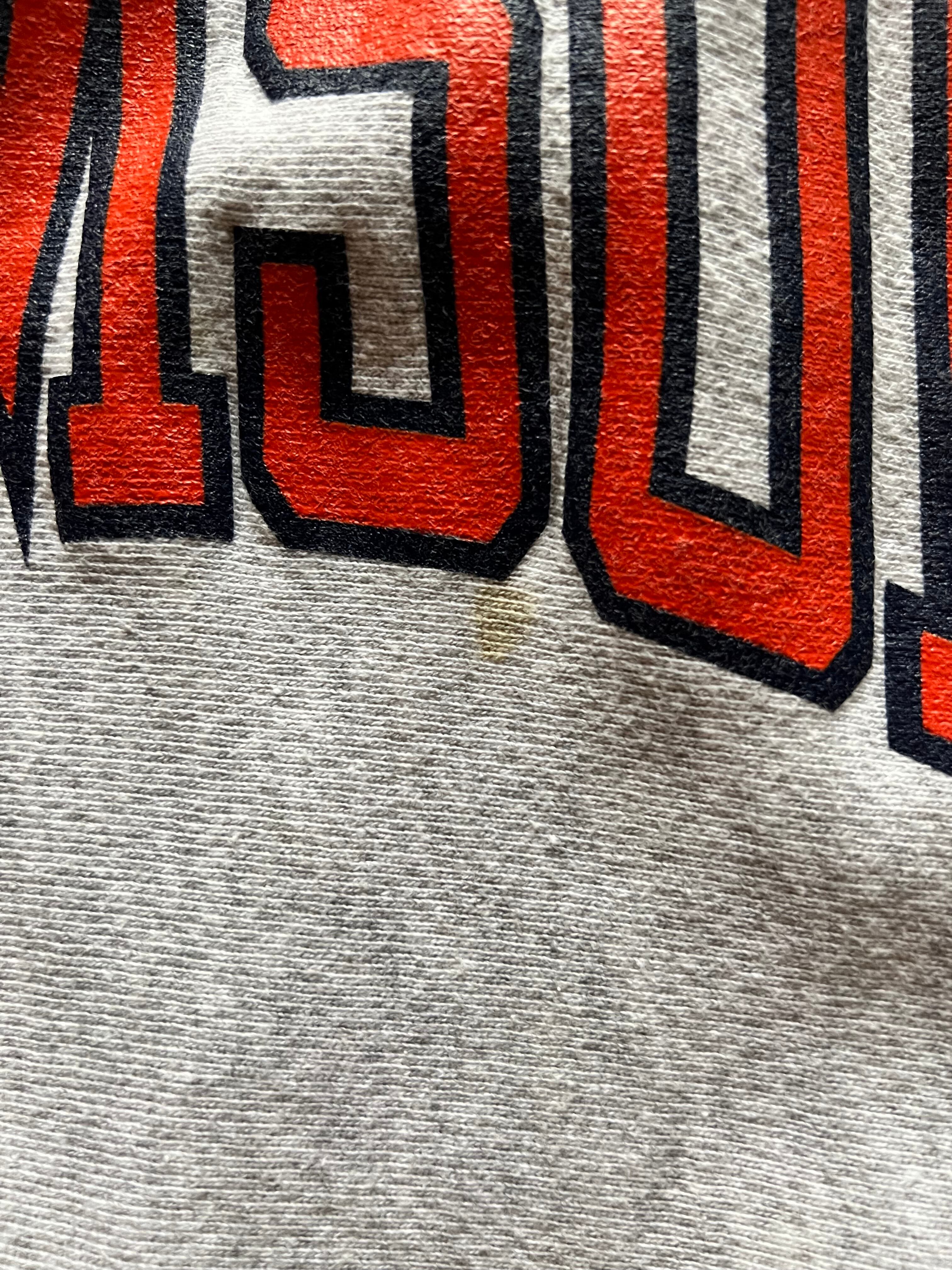 90's 刺繍タグ Champion RW ''CLEMSON'' 表記(XXL) USA製