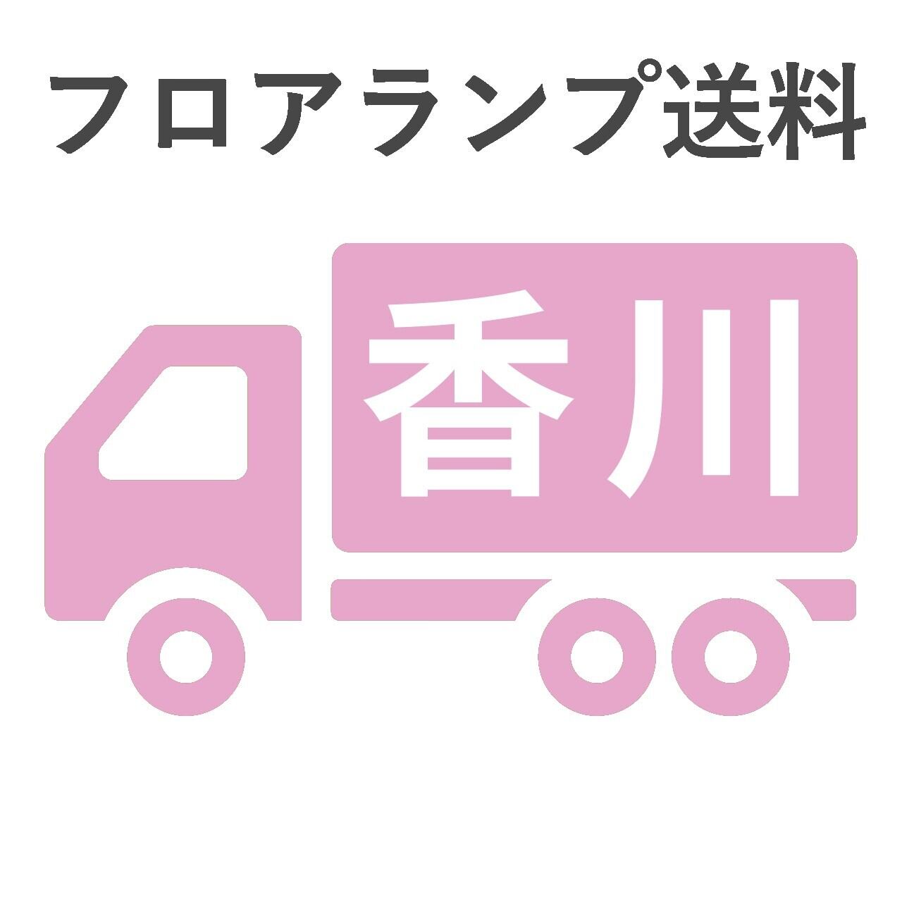 BL-F481,484,806送料 香川