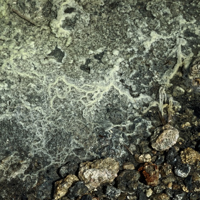 Tufa forming #MonoLake