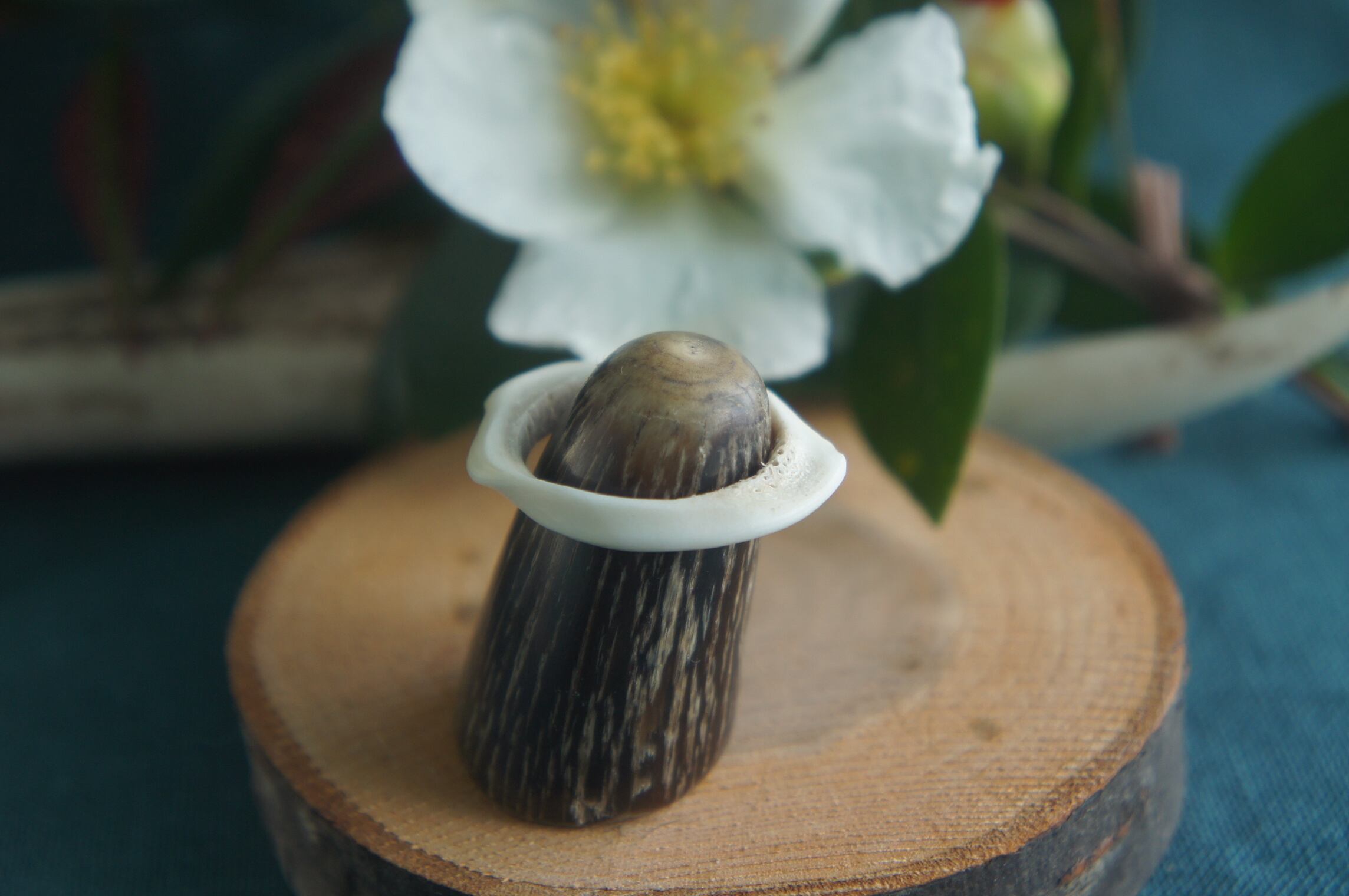 f5eccee76edf4c2d13212b6090b34e