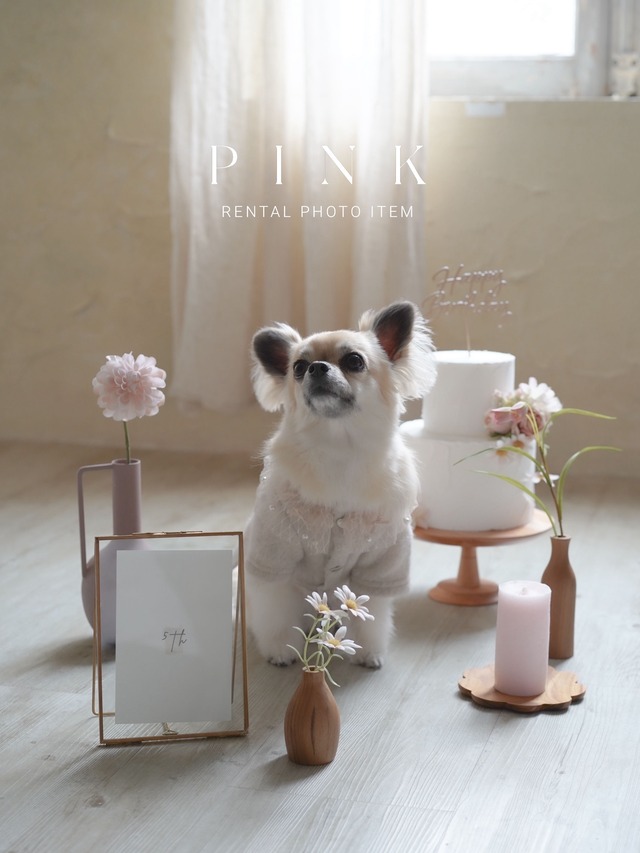 〈レンタル〉HEART