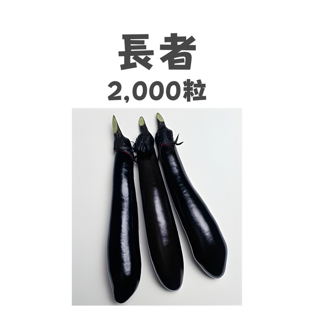 長者　ナス種子・2,000粒