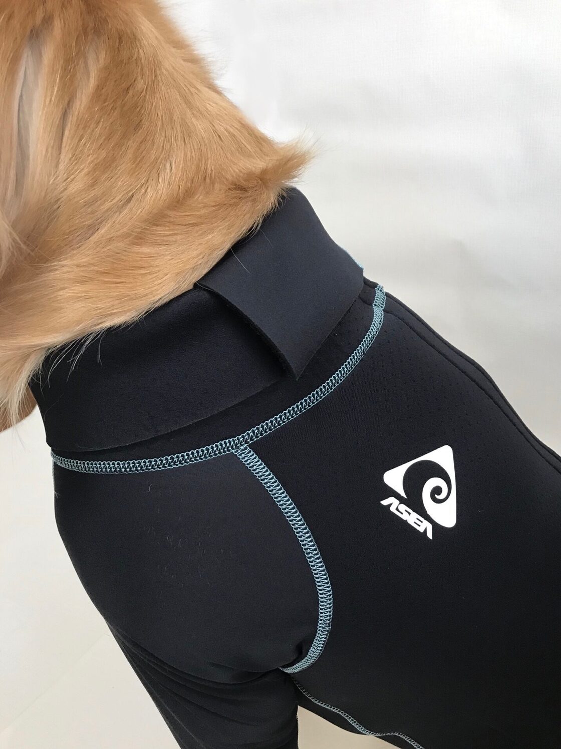 入荷未定 NEW 9号 ドッグスノースーツ大型犬用 | PAY ID
