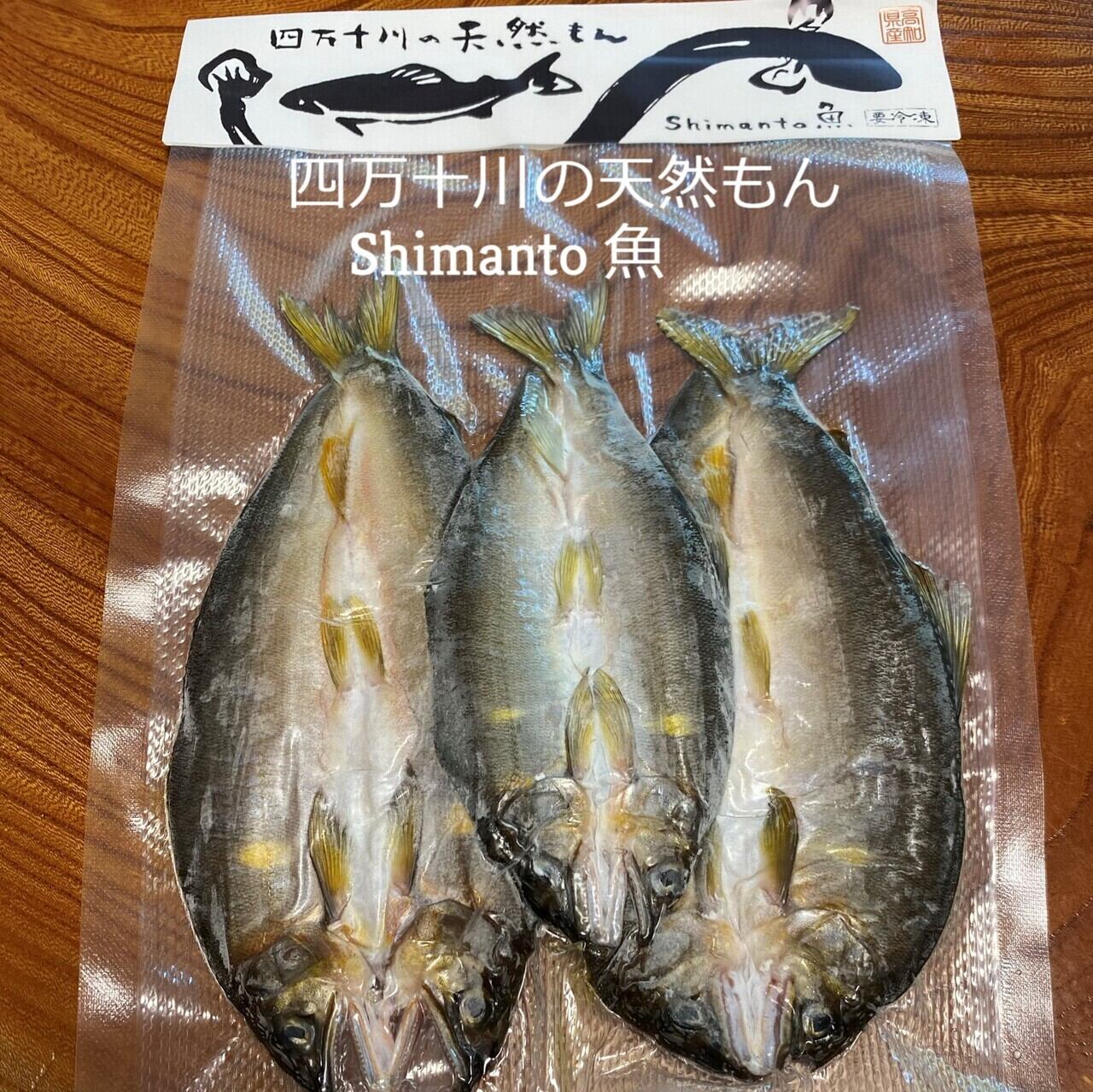販売期間2023 09 15まで 魚介類 川魚 ワンランク上の鮎「信州あゆ」大きめ10尾 産地直送