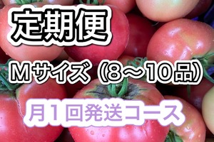 定期便　Mサイズ（8~10品）月１回発送　自動更新