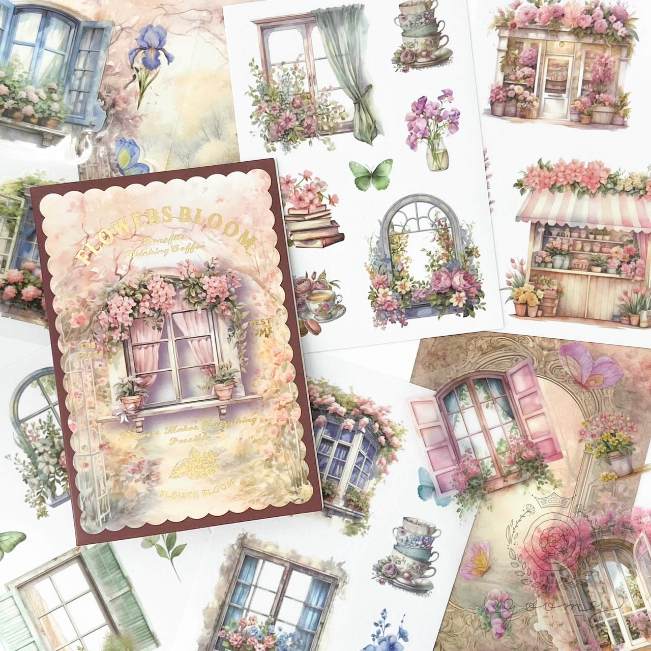 詰め合わせSET | goomy