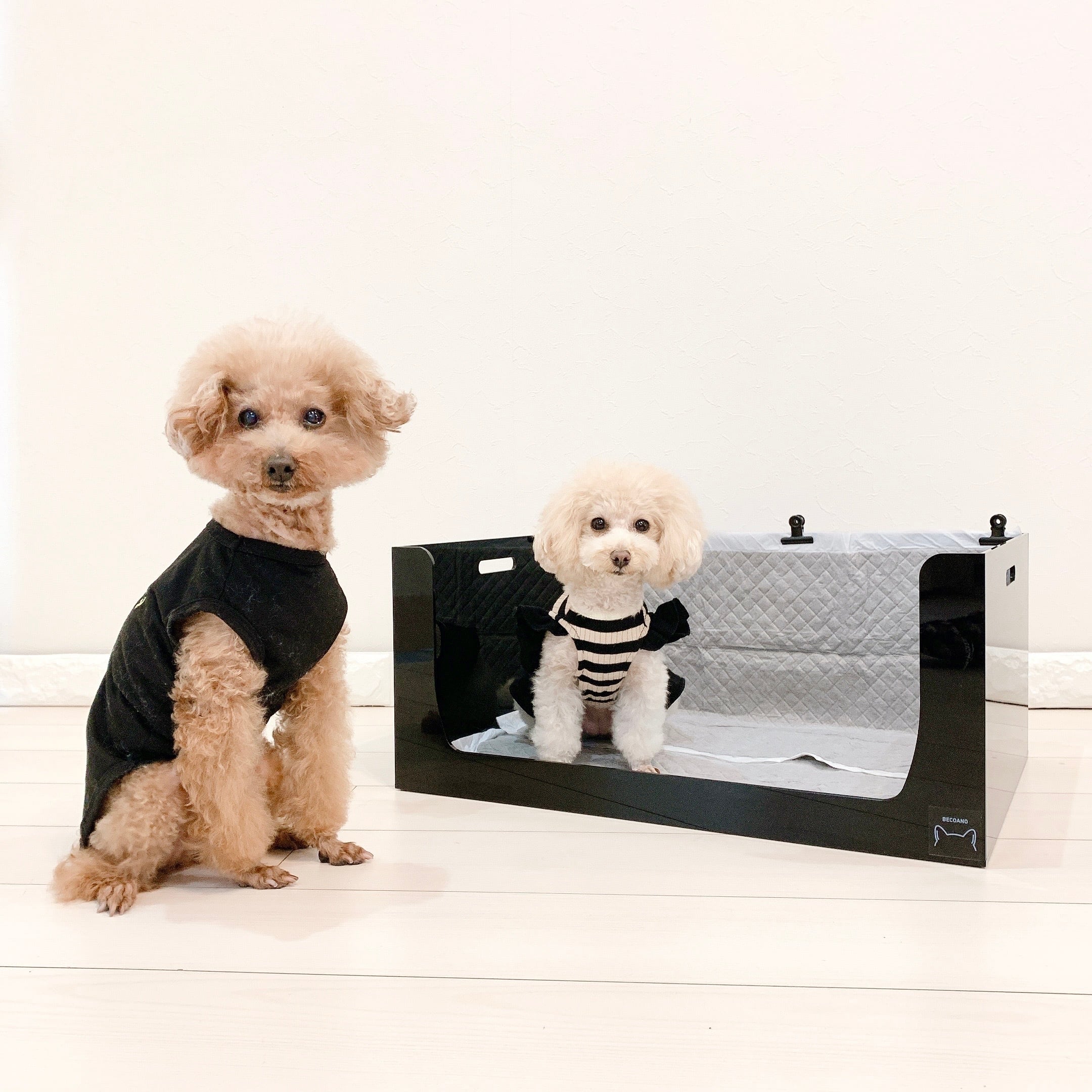 魅せるトイレ 横型 ブラック | BECOANO