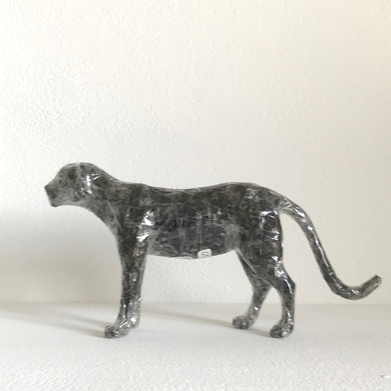 植田 楽さん／#26　クロヒョウ