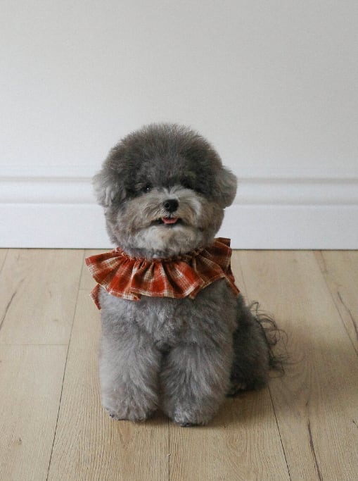 M/即納【OHDIBS】capeness no.11 (Brick Red)