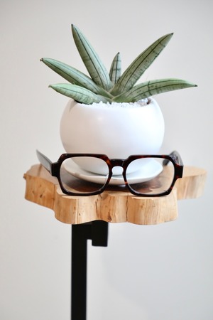 【S】サンスベリア ホワイトボンセレンシス/Sansevieria Boncellensis ※陶器鉢付き