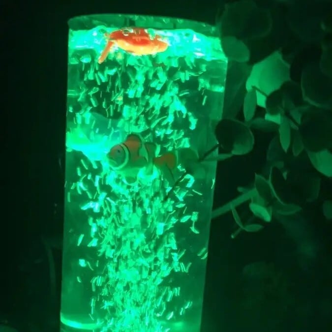 ナイトライト ミニ 水槽 クマノミ 海洋生物 おしゃれ かわいい USB