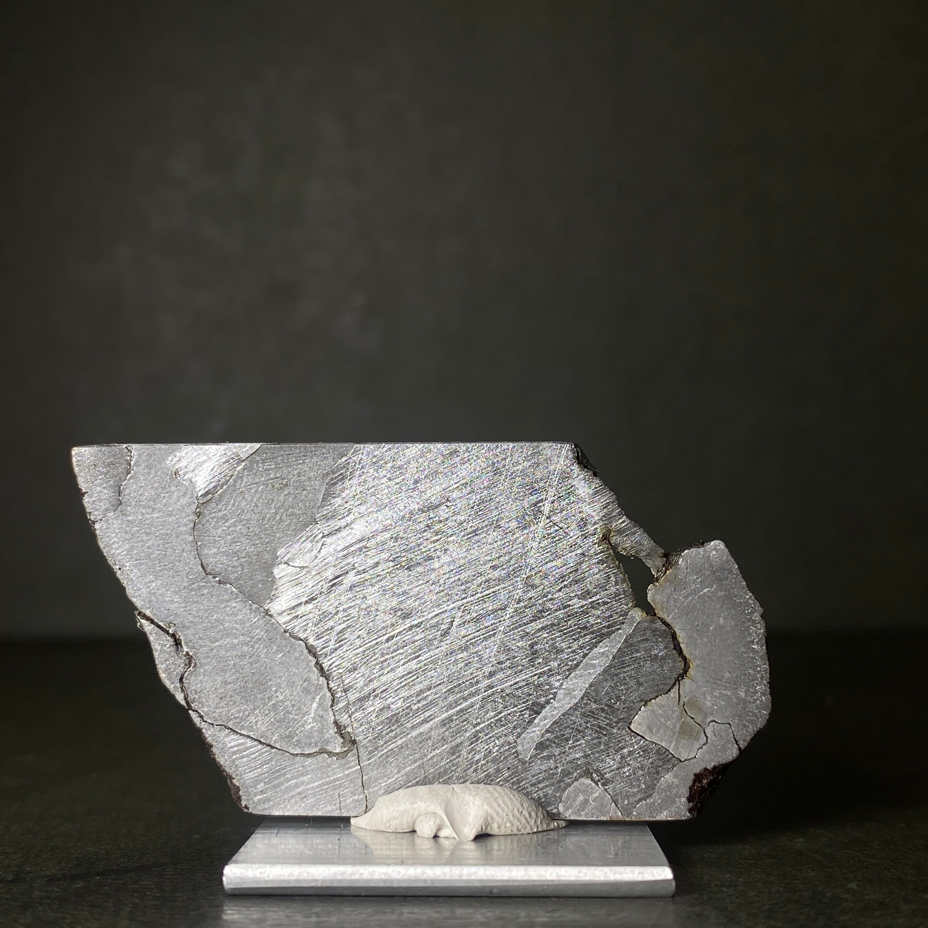大型】シホーテアリン隕石HG Shikhote Alin Meteorite 26100207