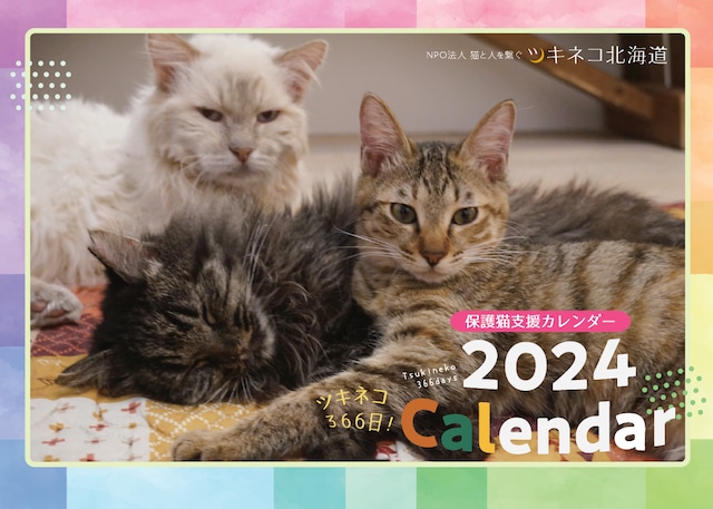 【販売再開！】12/12以降発送　２０２４年　ツキネコ保護猫支援カレンダー【壁掛けタイプ】