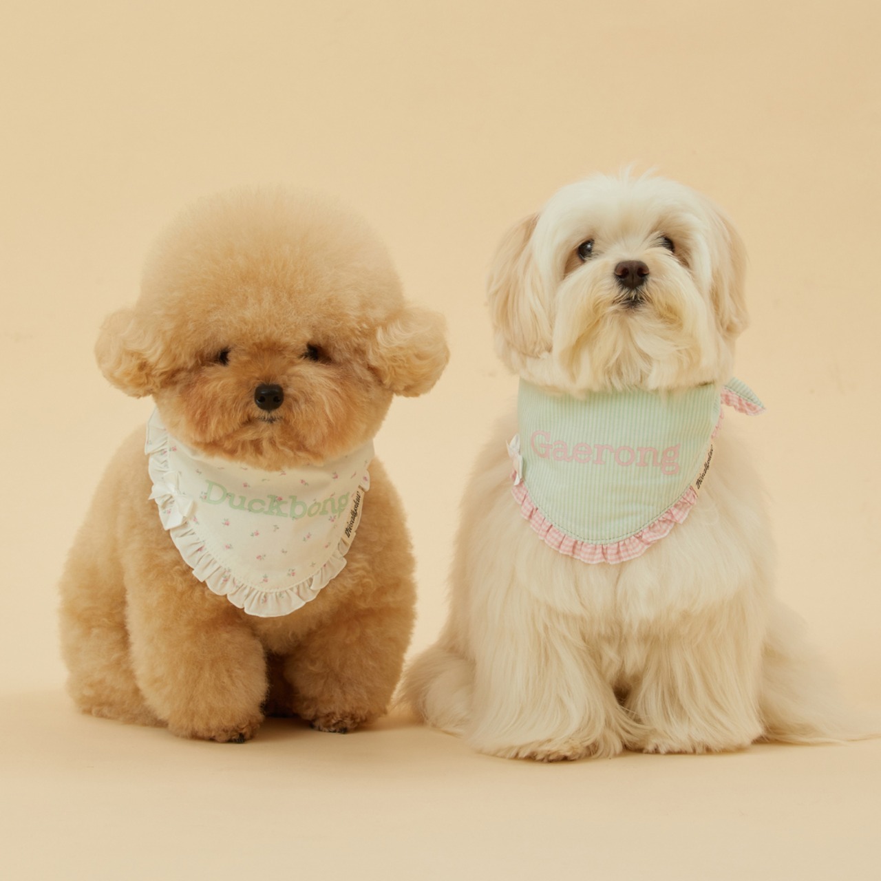 【予約】[ thesallyslaw ] Maybel Naming Bandana｜Mint stripe - 5