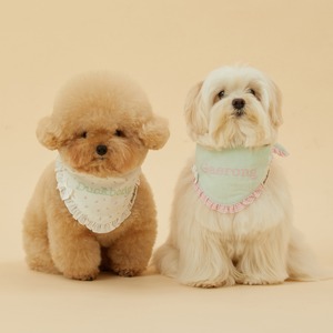 【予約】[ thesallyslaw ] Maybel Naming Bandana｜Mint stripe
