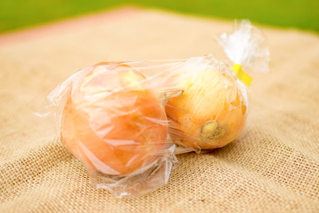 農薬・化成不使用栽培　玉ねぎ   （9kg/箱）