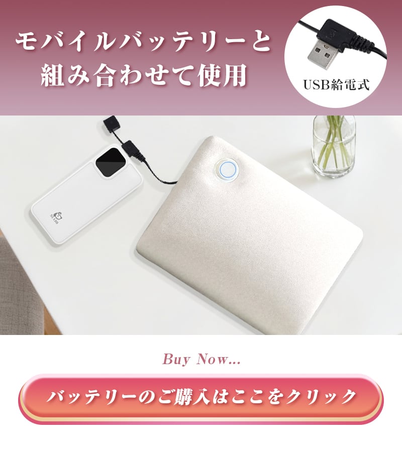 楽天市場】湯たんぽ かわいい ハンドウォーマー usb 電気湯たんぽ USB