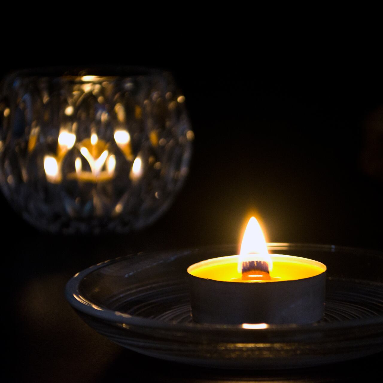 数量限定】 蜜蝋（ミツロウ） 木芯 （ウッドウィック） ティー