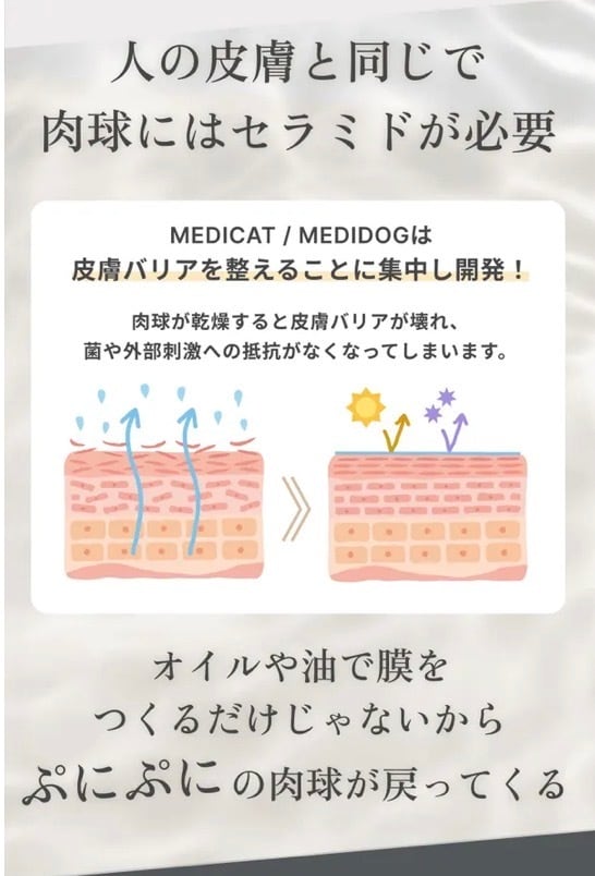 【MEDICAT/MEDIDOG】薬剤師×獣医師監修 肉球クリーム PAW CREAM 20g