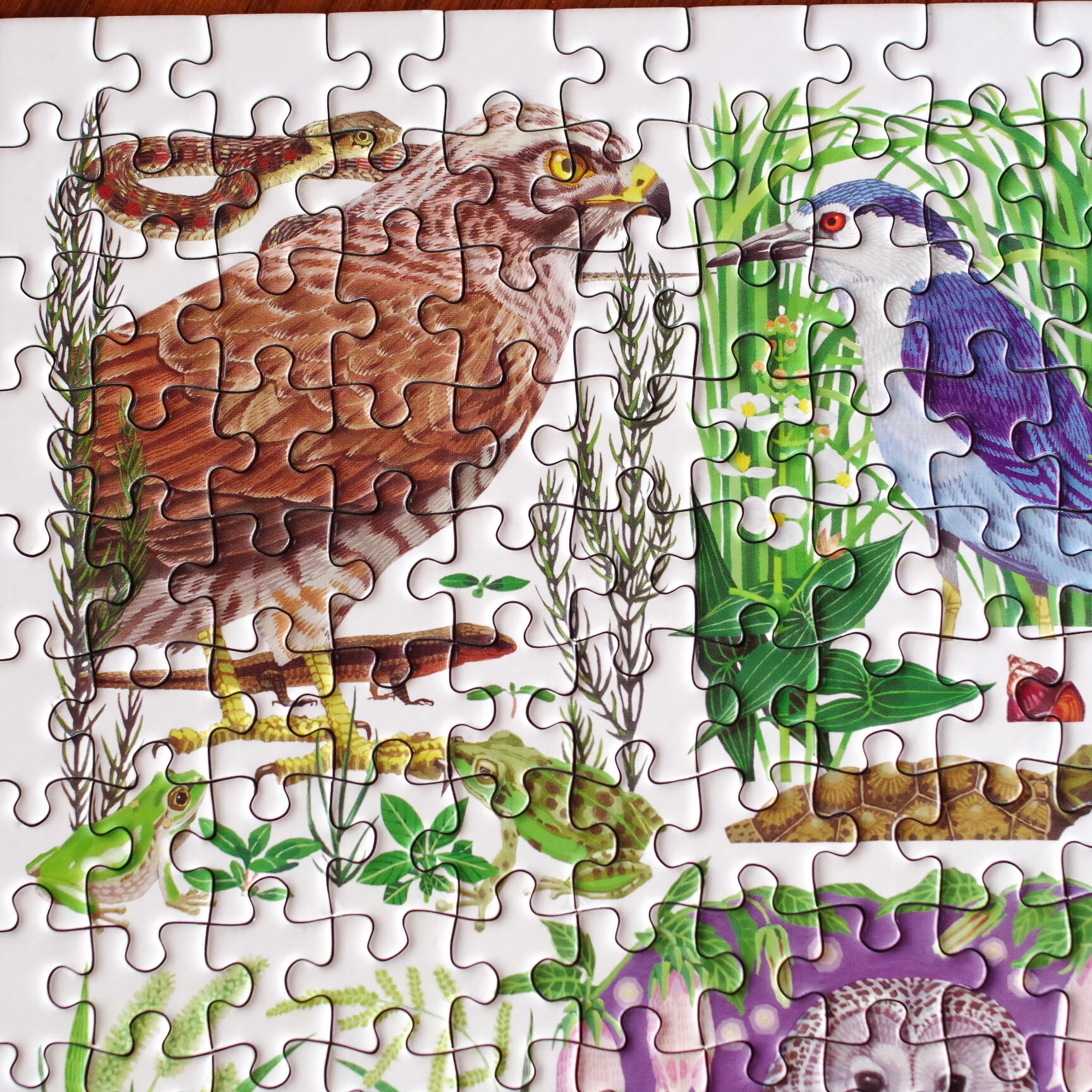 いろとりどりのセカイ　パズル いろとりどりのセカイ パズル いろとりどりのセカイ パズル