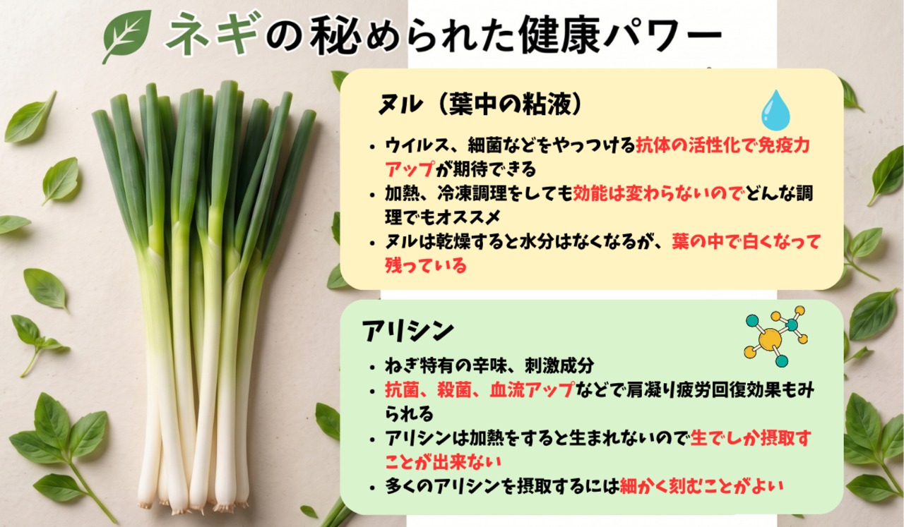 深谷蜜ねぎ2,5キロ
