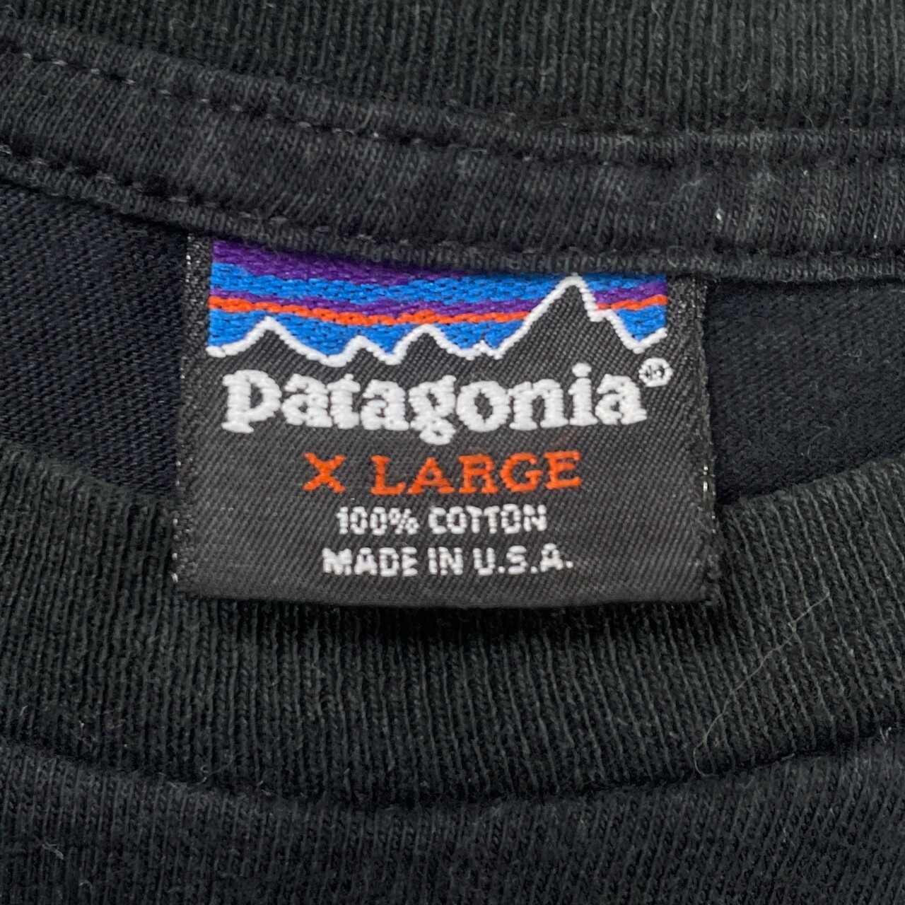 90年代 USA製 patagonia パタゴニア 絶滅危惧種 バックプリント T  