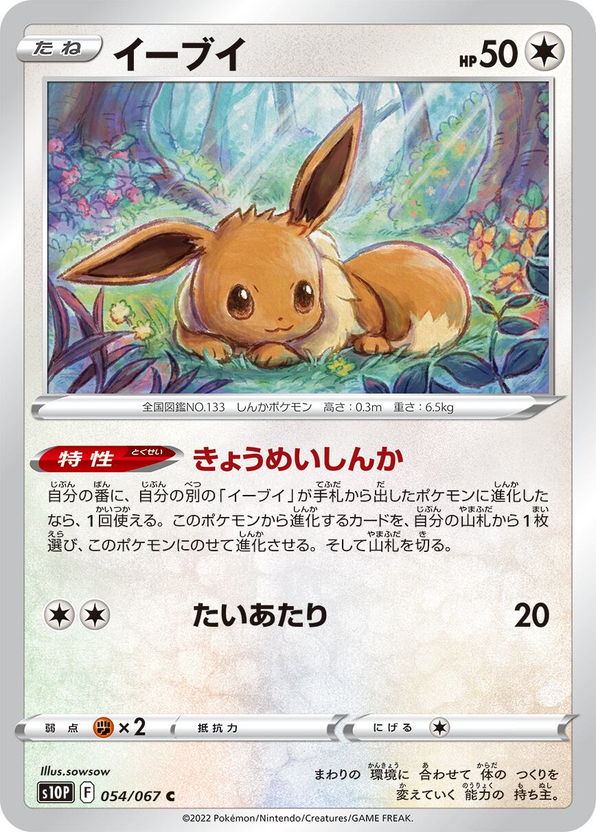 イーブイ C S10P 054/067 | ポケモンカード専門店 Cobalt Cave