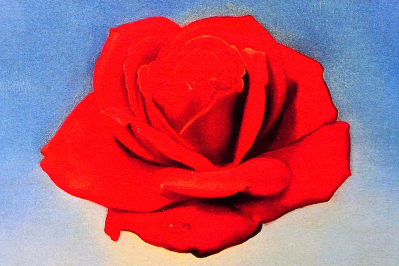 サルバドール・ダリ「瞑想するバラ」作品証明書・展示用フック・限定375部エディション付複製画ジークレ