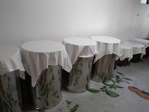 柿酢2パックレターパック便