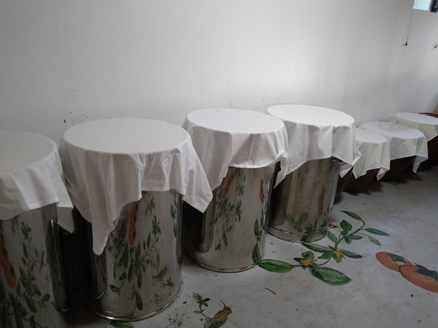 柿酢2パックレターパック便