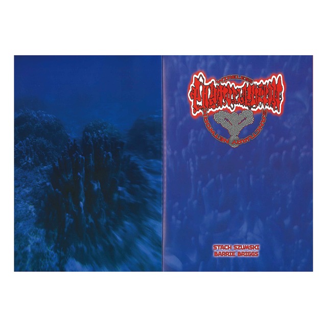 Stach Szumski & Barrie Briggs: WIRELESS PHYTOPLANKTON SANCTUARY NETWORK