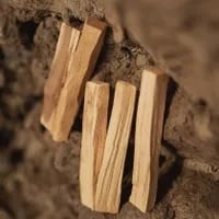 くらし/GLOSOME パロサント(50g)