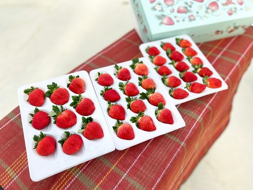 【ヤァー！ベリーファーム［広島］】よつぼし 2ケース入▶︎送料込◀︎
