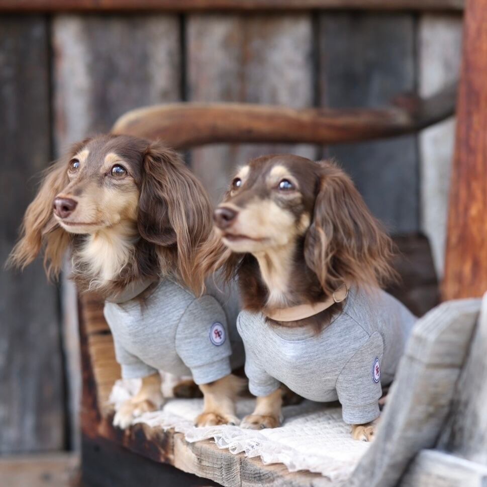 お揃いスウェット(ダンボールニット)【ご愛犬用】 | カニンヘン