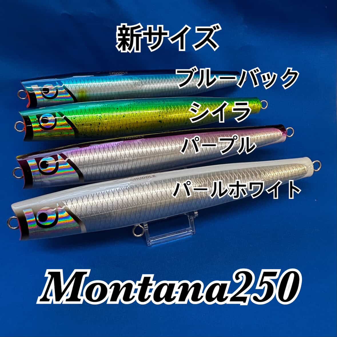 Atoll BONGER230 オレンジグロー | splanade