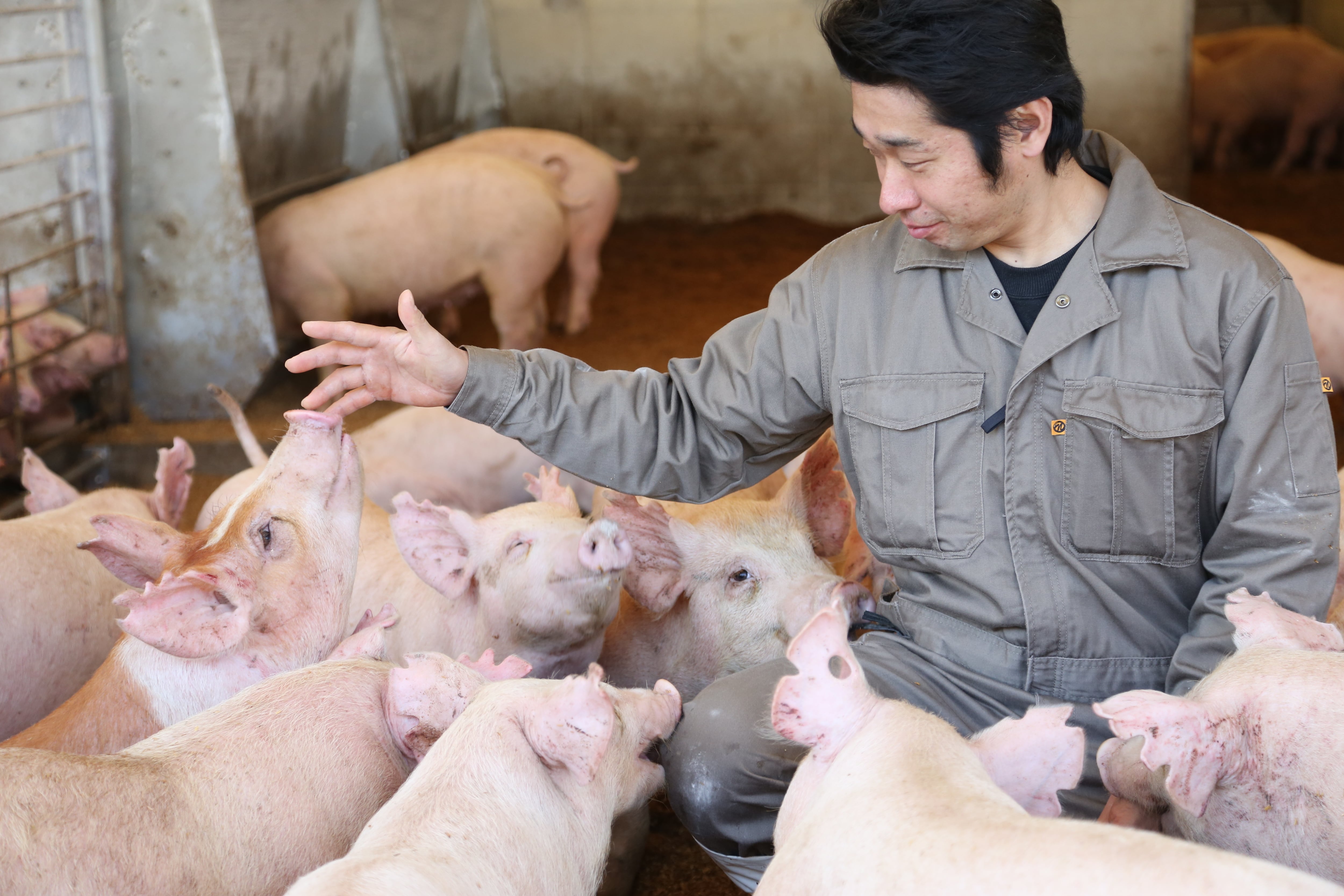 保美豚バラブロック 500g | 伊勢屋 BASIC LINE -「未来とかち牛」「保