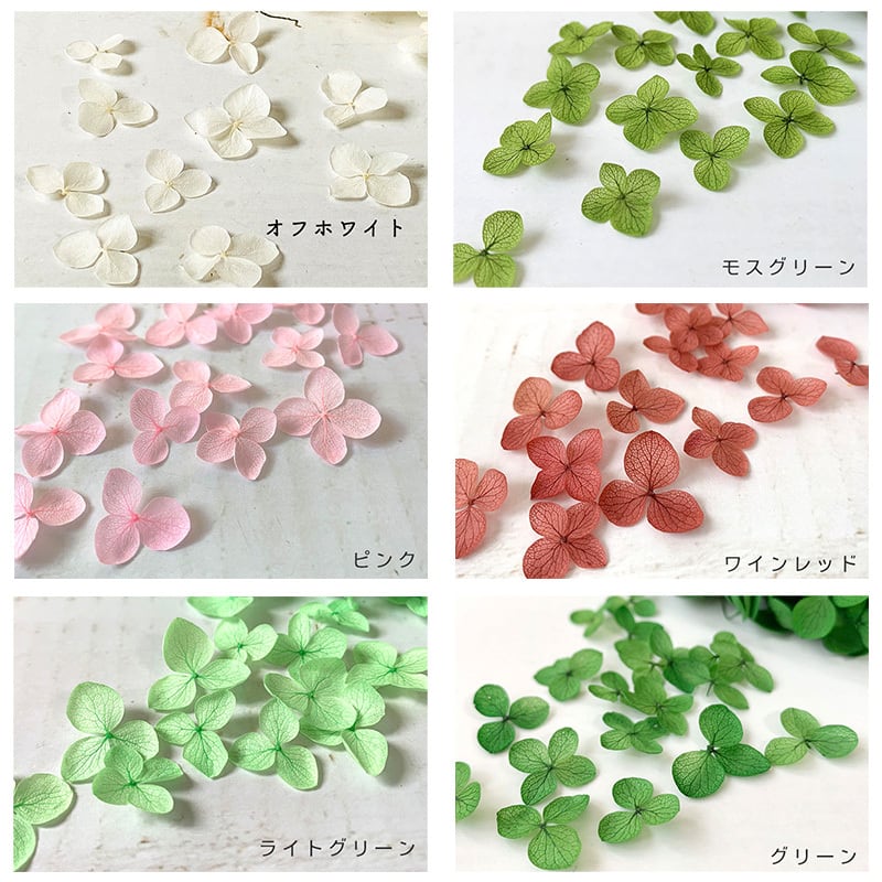 あなただけのミックス 各10枚 X お好きな3色 アナベル あじさい 花びら アジサイ 紫陽花 自然素材こわけ専門店 あじさいや
