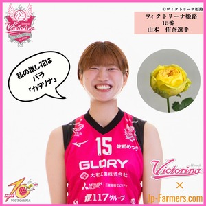 【ヴィクトリーナ姫路応援企画】推し花を贈って応援しよう　山本選手のラブフラワーはバラ　カタリナ