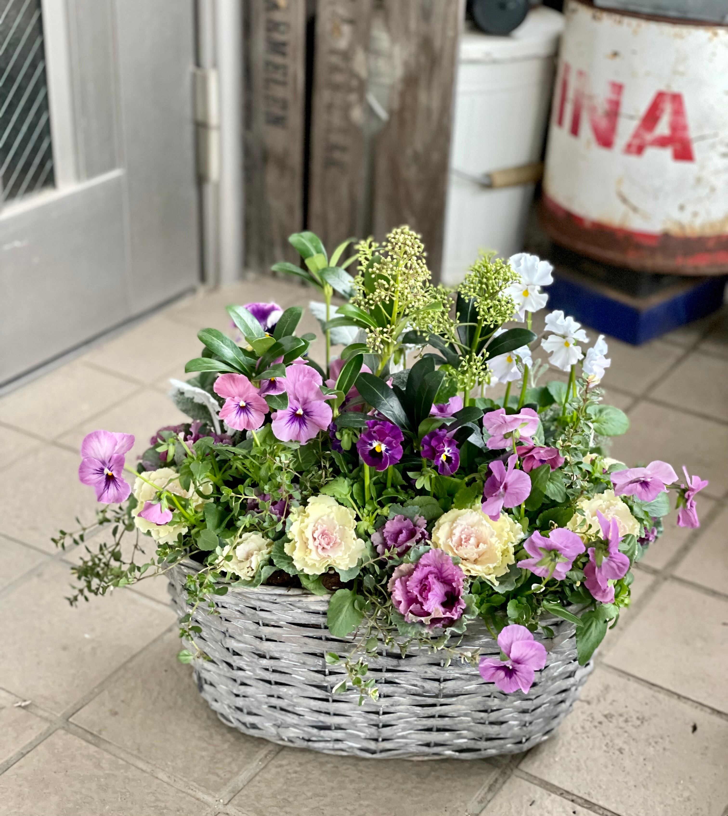 アネモネシフォンダブル | Teeny Tiny Gardenshop