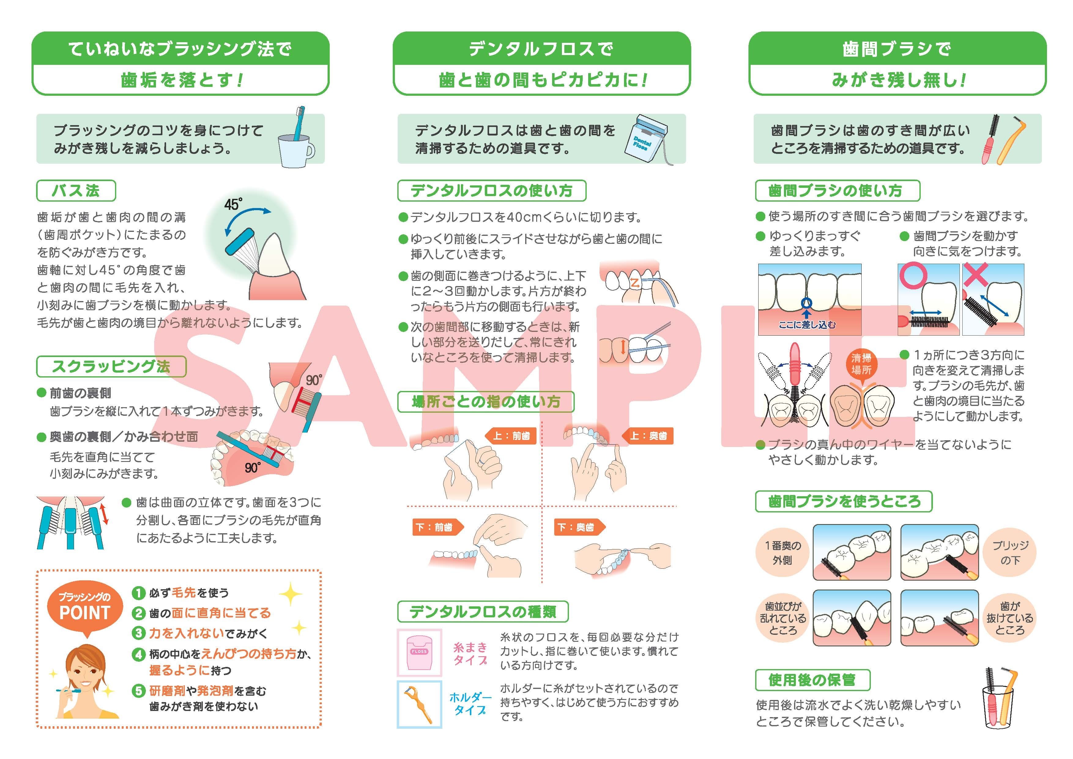 むし歯・歯周病予防 リーフレット【TBIリーフレット】50枚 | 歯科医院