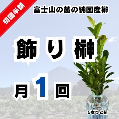 飾り榊｜定期便（月1回）｜インテリアとして飾れる純国産榊（5本ひと組