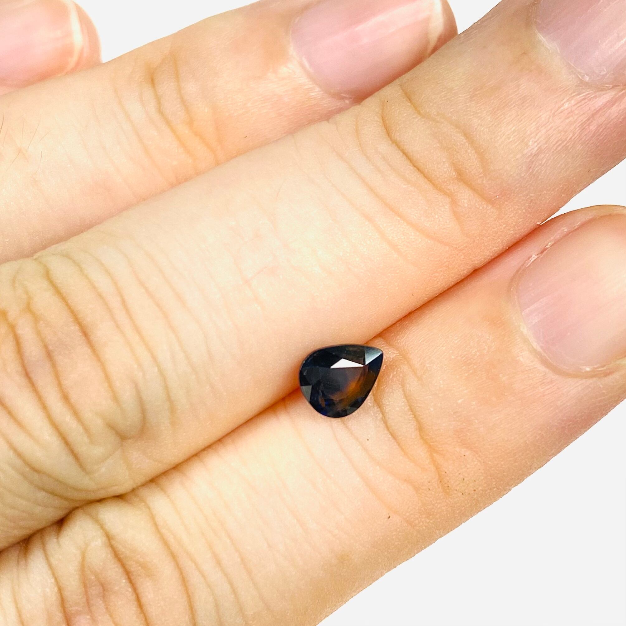 景色を楽しむサファイア 湖面に輝く月