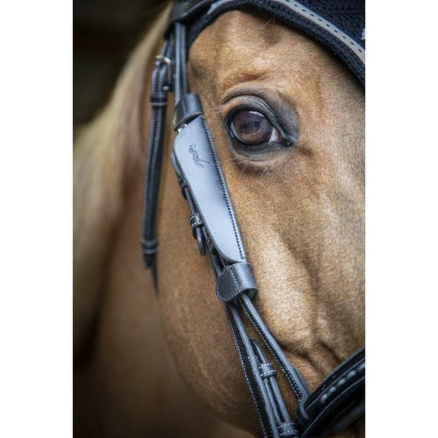 PENELOPE "Point Sellier" Double bridle ペネロペ 頭絡 大勒