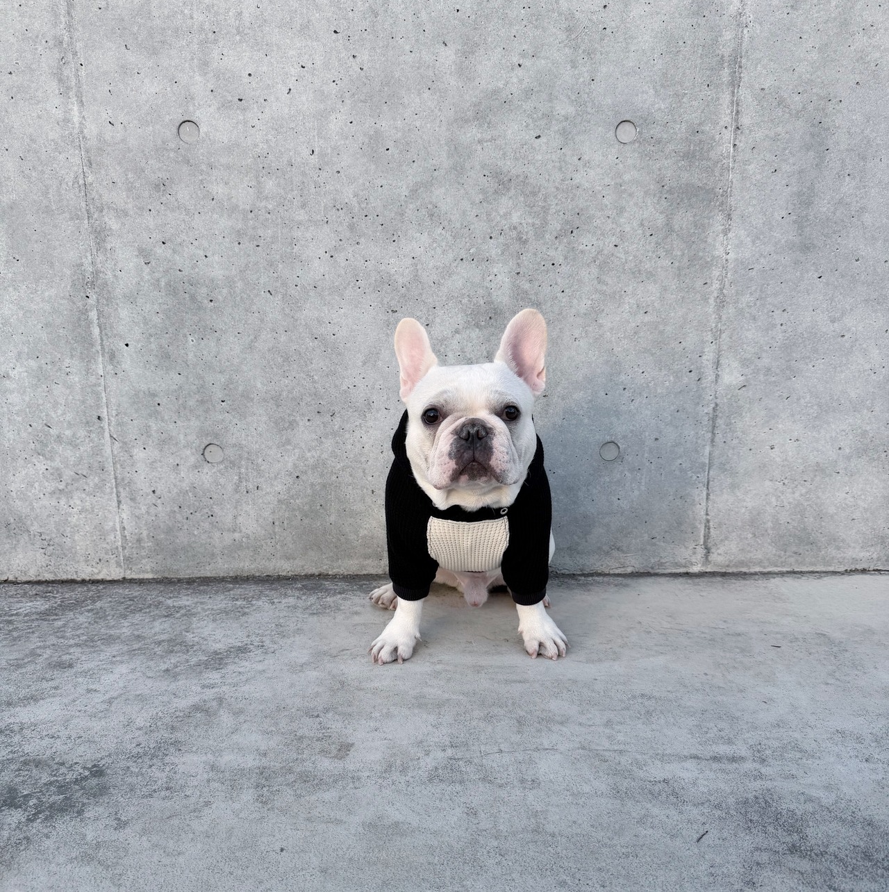 2TONE ワッフルパーカー アイボリー×ブラック - 2