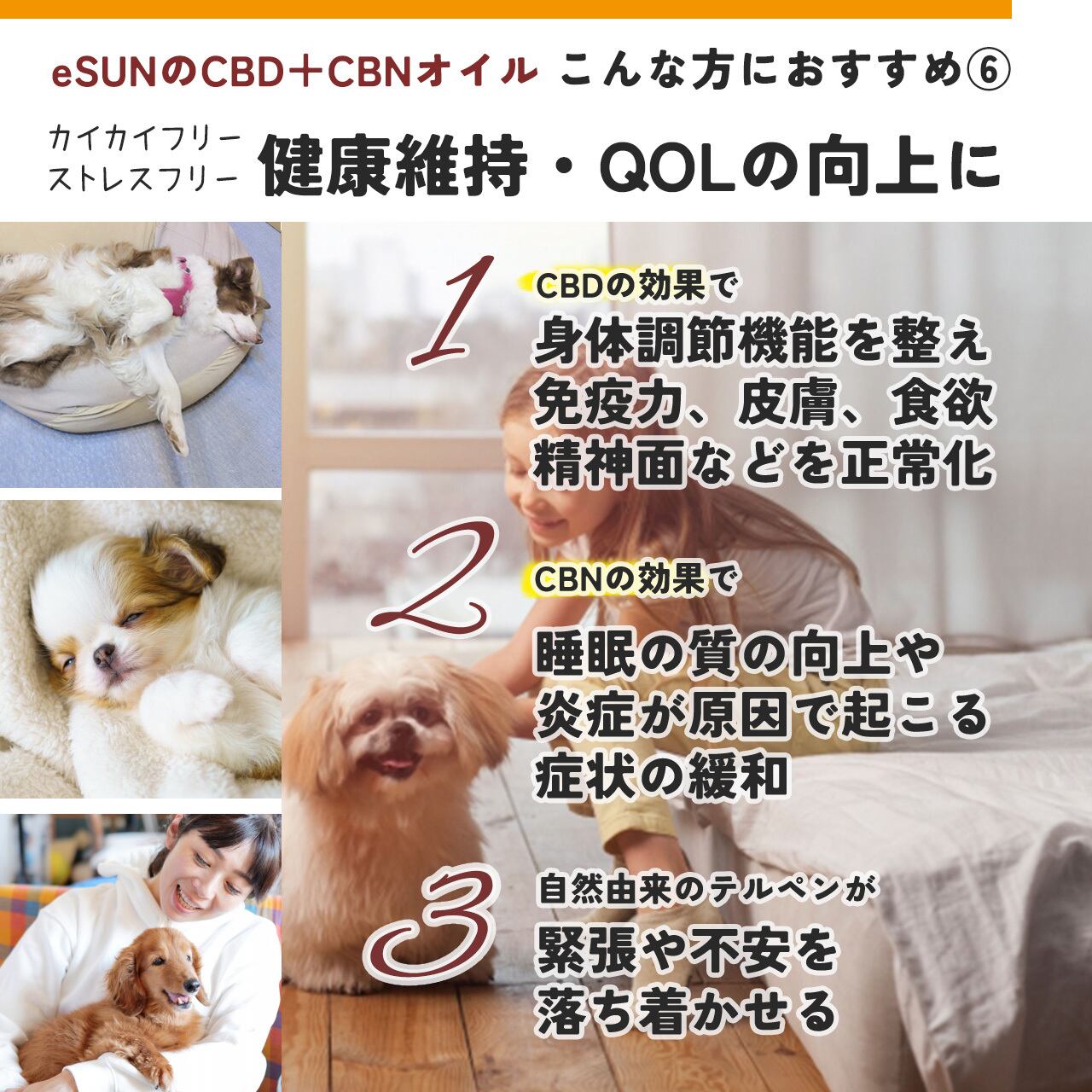 eSUN 犬用 CBD+CBNオイル 10ml | eSUN Online Shop