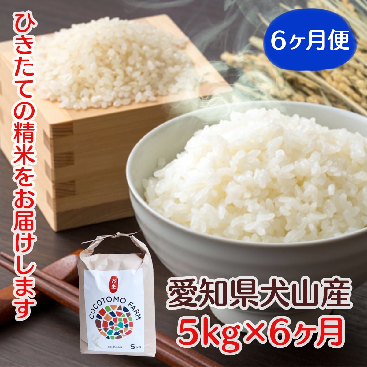 2023年収穫米　ゆめまつり　【定期便　5kg×1袋　6回】