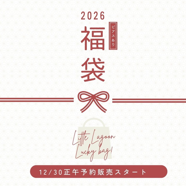 2026年 福袋 ピアスあり 11,000円【送料無料】