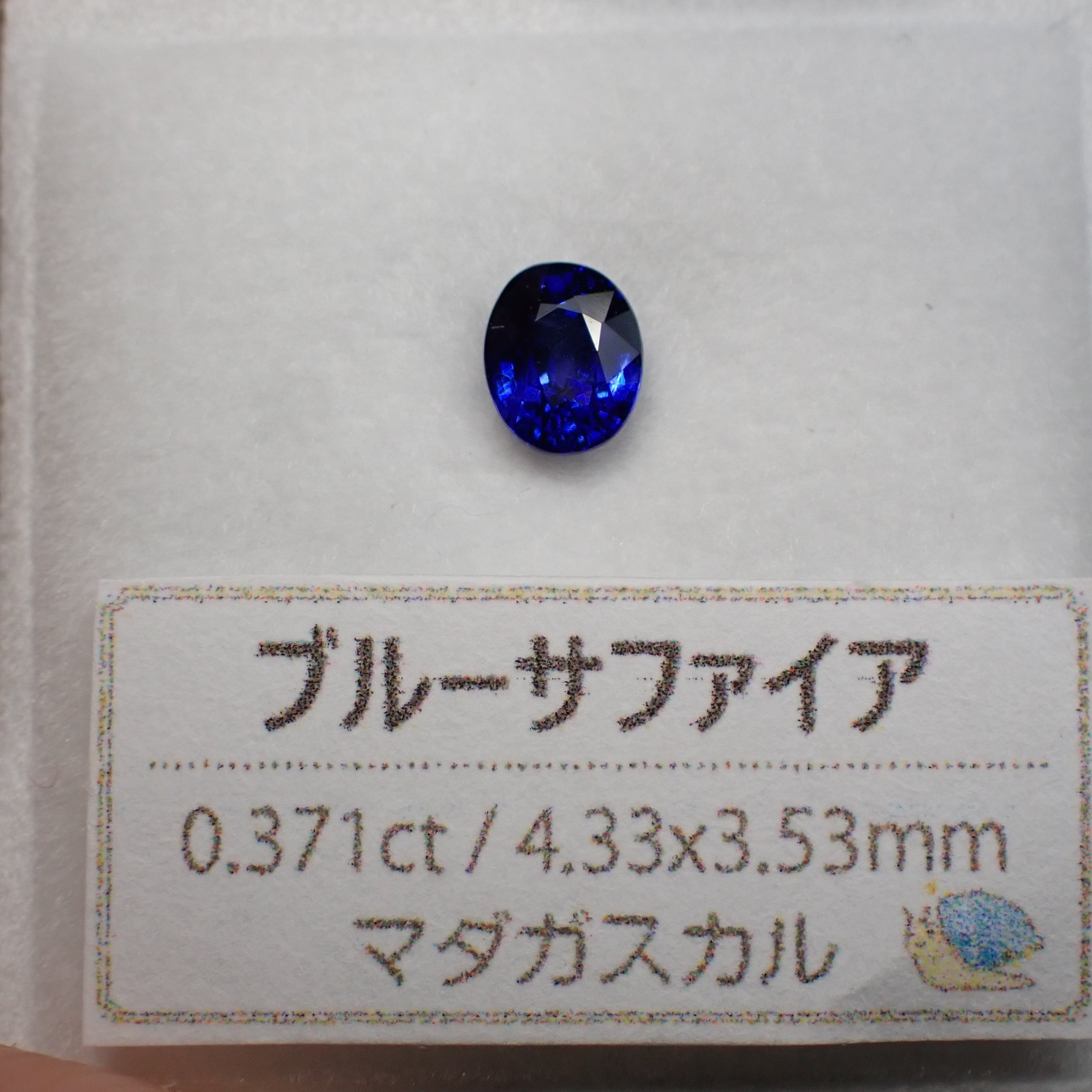 ネオンブルーの輝き☆ハーフ蛍光のロイヤルブルーカラー Big ネオンブルーの輝き☆ハーフ蛍光のロイヤルブルーカラー Big