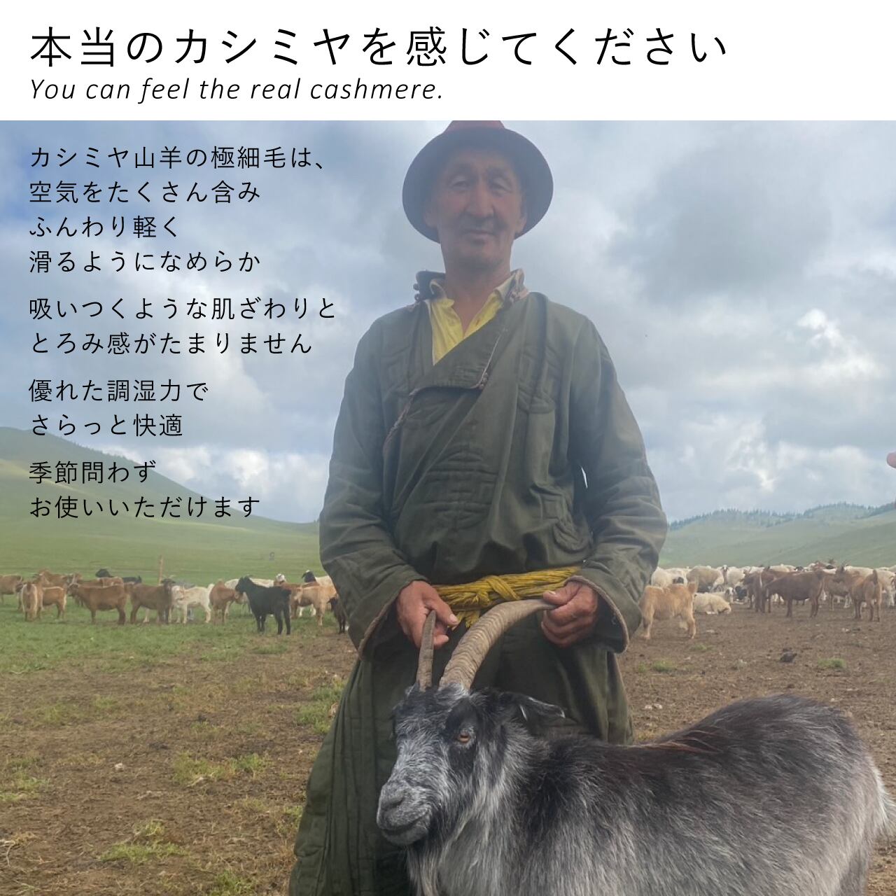 カシミヤの毛糸のパンツ｜ミルクティ | 空飛ぶ羊 BASE webshop